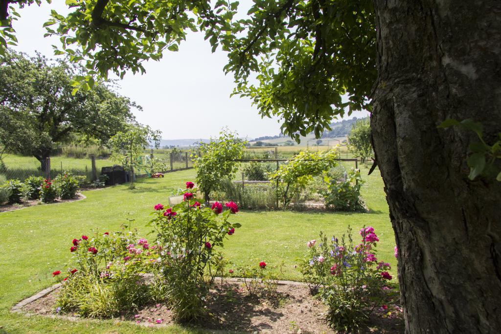 Domizil Im Weserbergland Dolme Dış mekan fotoğraf